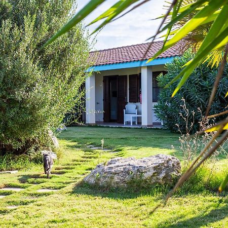 Agriturismo Is Cortillaris Càbras Dış mekan fotoğraf