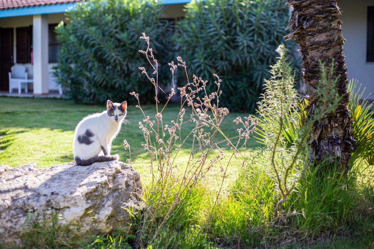 Agriturismo Is Cortillaris Càbras Dış mekan fotoğraf